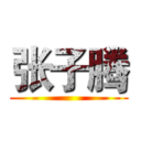张子腾 ()