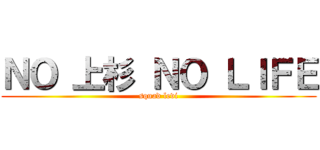 ＮＯ 上杉 ＮＯ ＬＩＦＥ (squad levi)