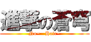 進撃の蒼穹 (No~   Hair~)