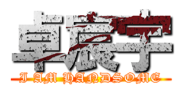 卓宸宇 (I AM HANDSOME)