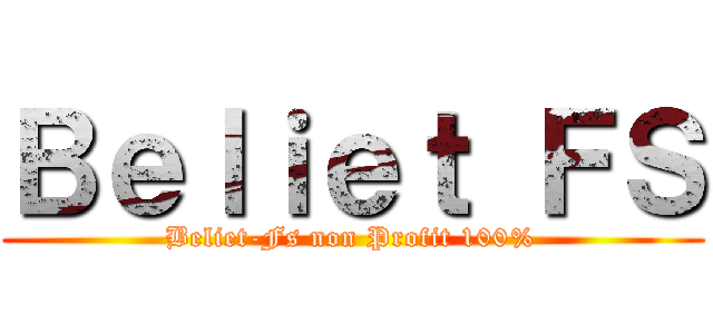 Ｂｅｌｉｅｔ ＦＳ (Beliet-Fs non Profit 100%)