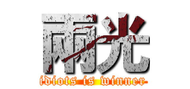 兩光 (idiots is winner)