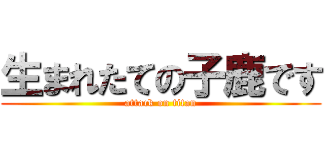 生まれたての子鹿です (attack on titan)