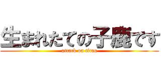 生まれたての子鹿です (attack on titan)