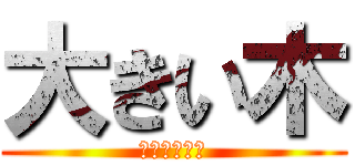 大きい木 (ライン専門家)