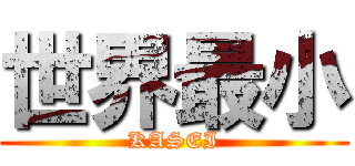 世界最小 (KASEI)