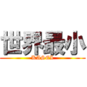 世界最小 (KASEI)