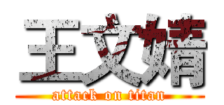 王文婧 (attack on titan)