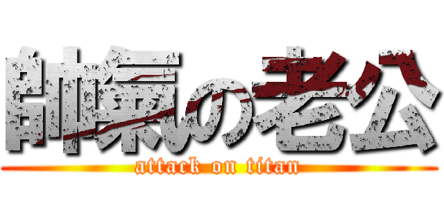 帥氣の老公 (attack on titan)