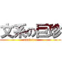 文系の巨珍 (anal sex)