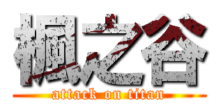 楓之谷 (attack on titan)
