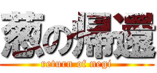 葱の帰還 (return of negi)