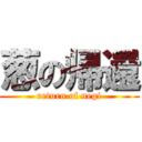 葱の帰還 (return of negi)