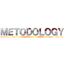 ＭＥＴＯＤＯＬＯＧＹ ()