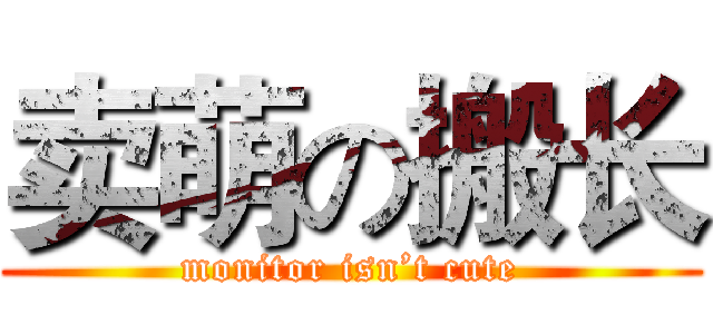 卖萌の搬长 (monitor isn’t cute)