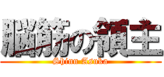 脳筋の領主 (Shinn Asuka)