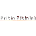 Ｐｒｉｔｉｎ Ｐｉｋｉｎｉｎｉｍ (DABUNDAGRANDONA)