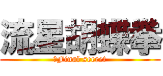 流星胡蝶拳 (　Final secret)