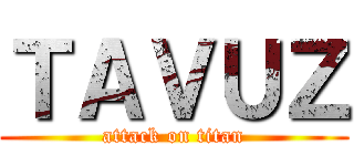ＴＡＶＵＺ (attack on titan)