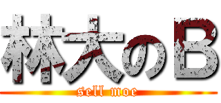 林大のＢ (sell moe)