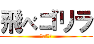 飛べゴリラ (ババコンガ)