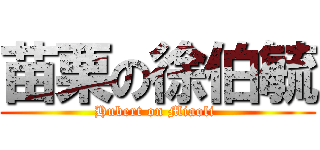 苗栗の徐伯毓 (Hubert on Miaoli )