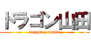 ドラゴン山田 (dragon yamada)