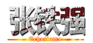 张铁强 (Echotiamo)
