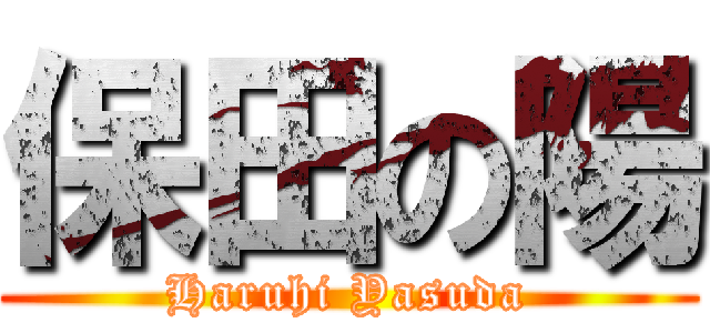 保田の陽 (Haruhi Yasuda)