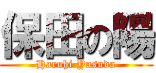 保田の陽 (Haruhi Yasuda)