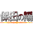 保田の陽 (Haruhi Yasuda)