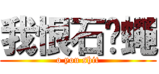 我恨石踩蠅 (o you shit)