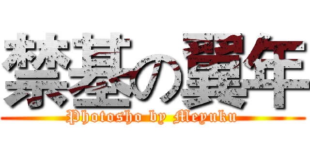 禁基の翼年 (Photosho by Meyuku)