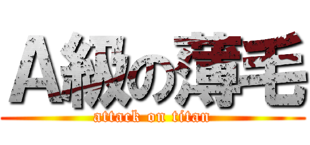 Ａ級の薄毛 (attack on titan)