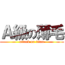 Ａ級の薄毛 (attack on titan)