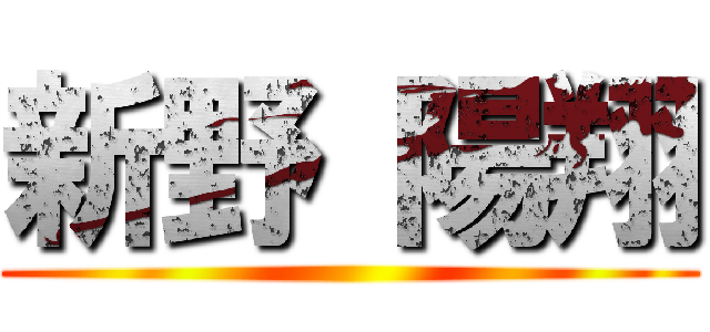 新野 陽翔 ()