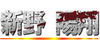 新野 陽翔 ()