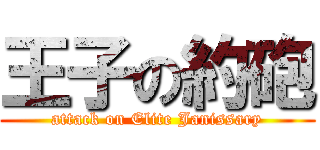 王子の約砲 (attack on Elite Janissary)