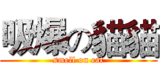 吸爆の貓貓 (smell on cat)