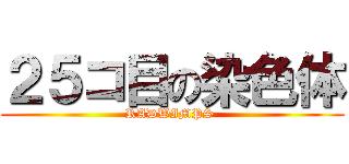 ２５コ目の染色体 (RADWIMPS )