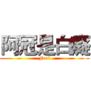 阿冠是白癡 (Fool)