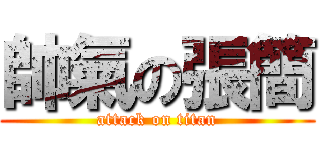 帥氣の張簡 (attack on titan)