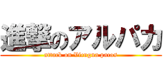 進撃のアルパカ (attack on Vicugna pacos)