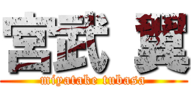 宮武 翼 (miyatake tubasa)
