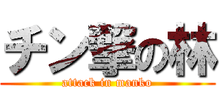 チン撃の林 (attack in manko)