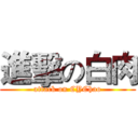 進擊の白肉 (attack on CYChao)