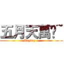 五月天萬歲~ (Mayday ~)