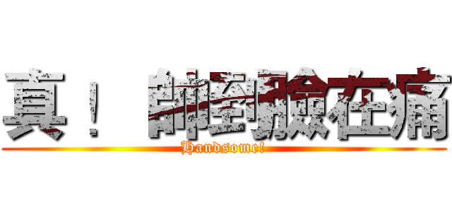 真 ！ 帥到臉在痛 (Handsome!)