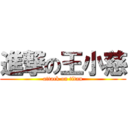 進撃の王小慈 (attack on titan)