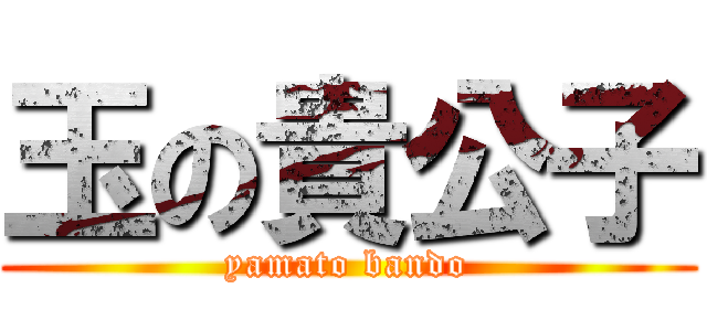 玉の貴公子 (yamato bando)